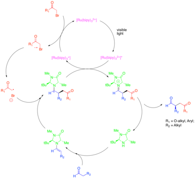 Diagram of Enantioselective Alkylation of Aldehydes via the synergistic combination of organo- and photoredox catalysis