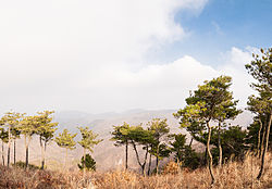 東大山峰頂