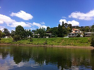 Beerescourt, Hamilton from the Waikato River.