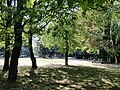 Jüdischer Friedhof (Bielefeld)