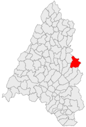 Location in Bihor County