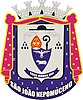 Official seal of São João Nepomuceno