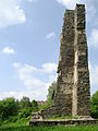 Ruine der Burg Neujochenstein