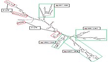 MFOLD Secondary Structure Prediction.