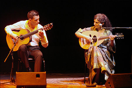 Concert "Flamenco et Soufisme" (IMA) (4431396219).jpg