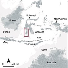 Distribution of Toalean sites in southern Sulawesi