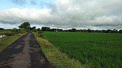 Green fields of Nilok