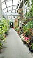 View of the greenhouse