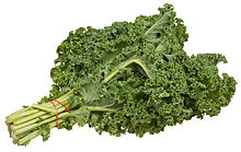 Curly-leaf kale