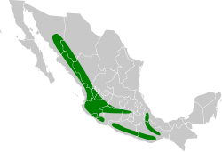 Distribución geográfica del trepatroncos escarchado.