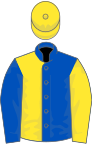 Royal blue and yellow (halved), sleeves reversed, yellow cap