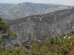 Άποψη της Πάρνηθας μετά την καταστροφική πυρκαγιά του Ιουνίου