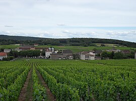 A general view of Saint-Gengoux-de-Scissé