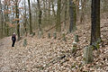 Lapidarium auf dem Winteritzer Kapellenberg