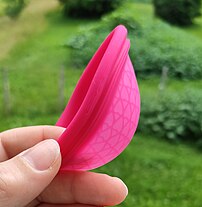 The rim steps smoothly from one height on one end to a somewhat shorter height on the other. On the end with the taller rimm, the bowl becomes a bit shallower. The outside of the bowl is smooth, but the lattice can be seen through it. There is a small 3-by-9 rectangle of raised dots out the outside to show where to pinch, and a very visible moulding flash.