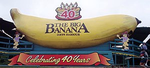 The Big Banana