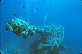 Bow gun of the Fujikawa Maru