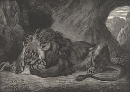 Lion of the Atlas (French: Lion de l'Atlas) by Eugène Delacroix, 1829, in the Saint Louis Art Museum