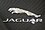 Jaguar - logo (MSP16)