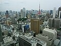 南側の東京タワー等を見る（2010年6月20日撮影）