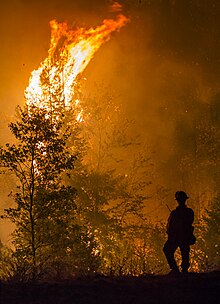 A night-time scene shows a firefighter is silhouetted bottom right against a stand of dark conifer trees, one of them completely ablaze