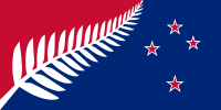 Kyle Lockwood's prototype Silver fern flag which won a newspaper competition in 2004