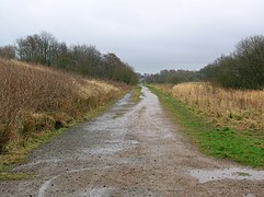 Long Drive near Stanecastle Gate in 2009