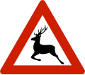 Deer/Hjort