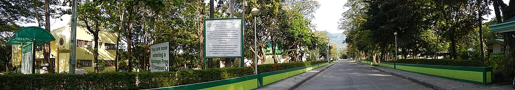 Graduate Studies Building and road panorama