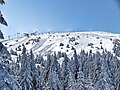 View on Pančić's Peak during winter