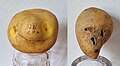 Visages apparaissant dans des pommes de terre.