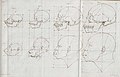 ... the second canvas had the heads of two apes, an African Moor and a Kalmyk or Asian, again with their skulls drawn above them...