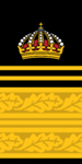 Police Director (Regional Police Chief, Department Chief, or after special appointment) (Polisdirektör)