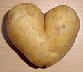 ... comes this potato-heart award which can be used (1) to cook kugelis; (2) as a late Valentine's gift in LT-style; (3) to distil the mighty 100 gramu; (4) to plant during the bulviasodis and make more potatos; (5) just another useless piece of garbage lying around with some sort of sentimental value.