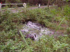 Two steams converge with the Glaven at the outlet from Selbrigg pond