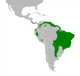 Distribución geográfica de la tangara negra.