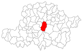 Location in Arad County