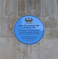 The blue plaque outside The Eagle pub on Bene't Street