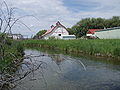 Thompson Spring Creek on the MZ Ranch near Belgrade, MT