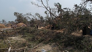 Toppled trees and electrical poles.