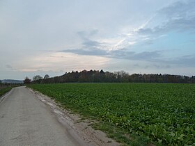 Image illustrative de l’article Poste de garde du Goudsberg