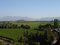 Vue de la vallée de l’Aconcaguaprès de San Felipe