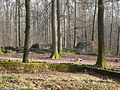 VR Wiesenbach Topographische Situation