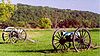 two cannons with wooden wheels and metal barrels, in a field