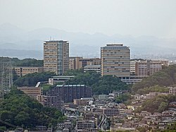 明星大学