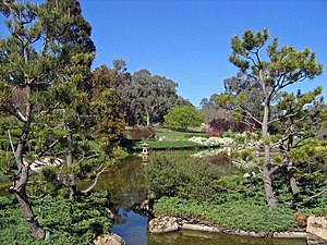 Une autre vue du jardin.