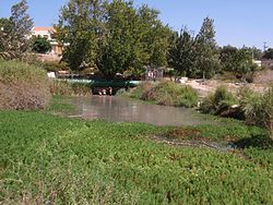 מעיין אלרואי מבט מזרחה. ברקע ניתן להבחין בבתים הראשונים של שכונת אלרואי