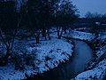 The Skora River in Chojnów in winter