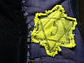 Detail of Jewish star on padded jacket, Drobytsky Yar