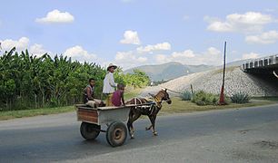 鄉間馬車